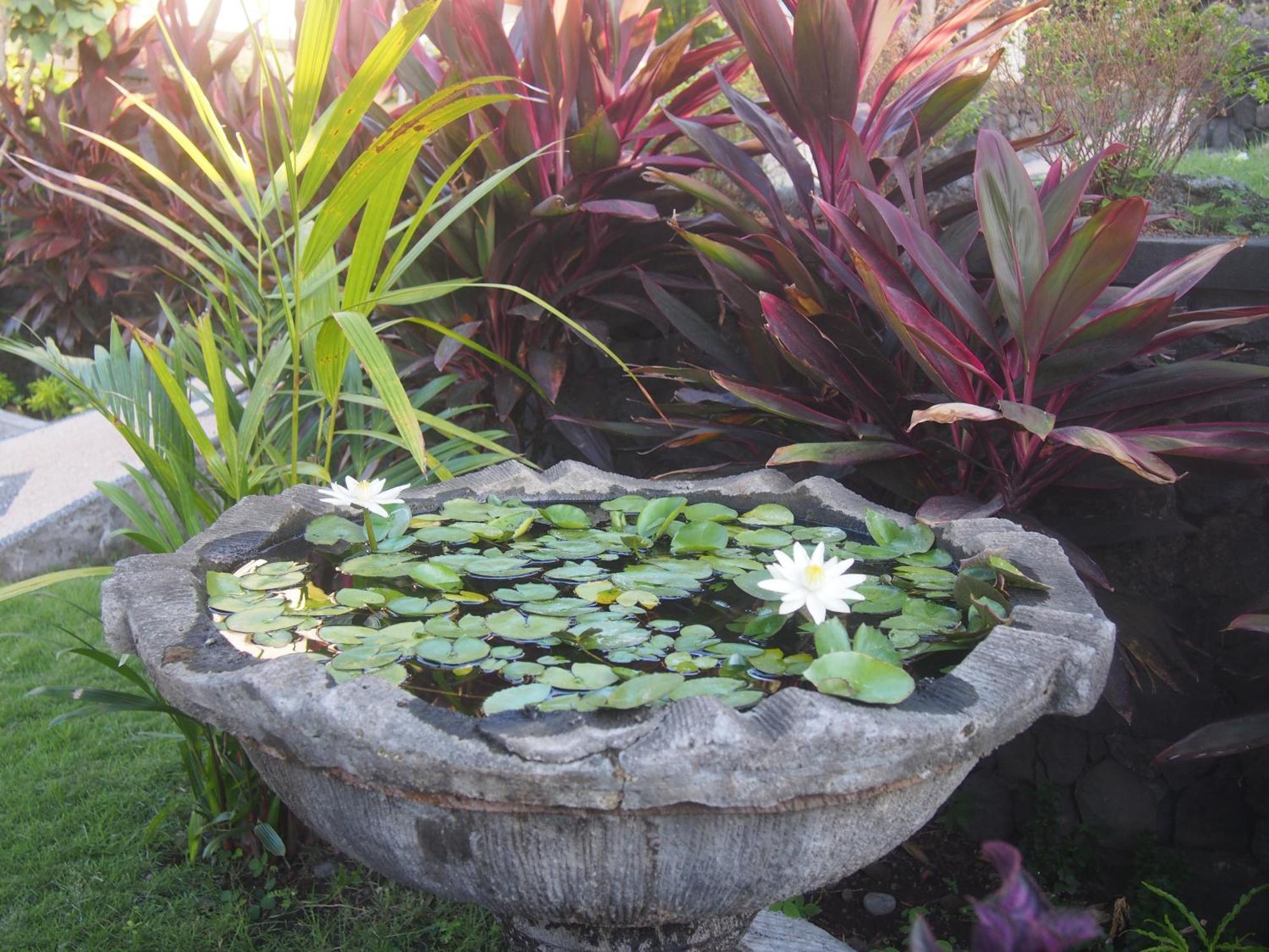 Villa Omah Semar ทูลัมเบน ภายนอก รูปภาพ